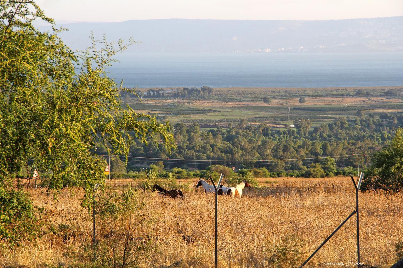 Nof Kinneret Cabins Had Nes Εξωτερικό φωτογραφία