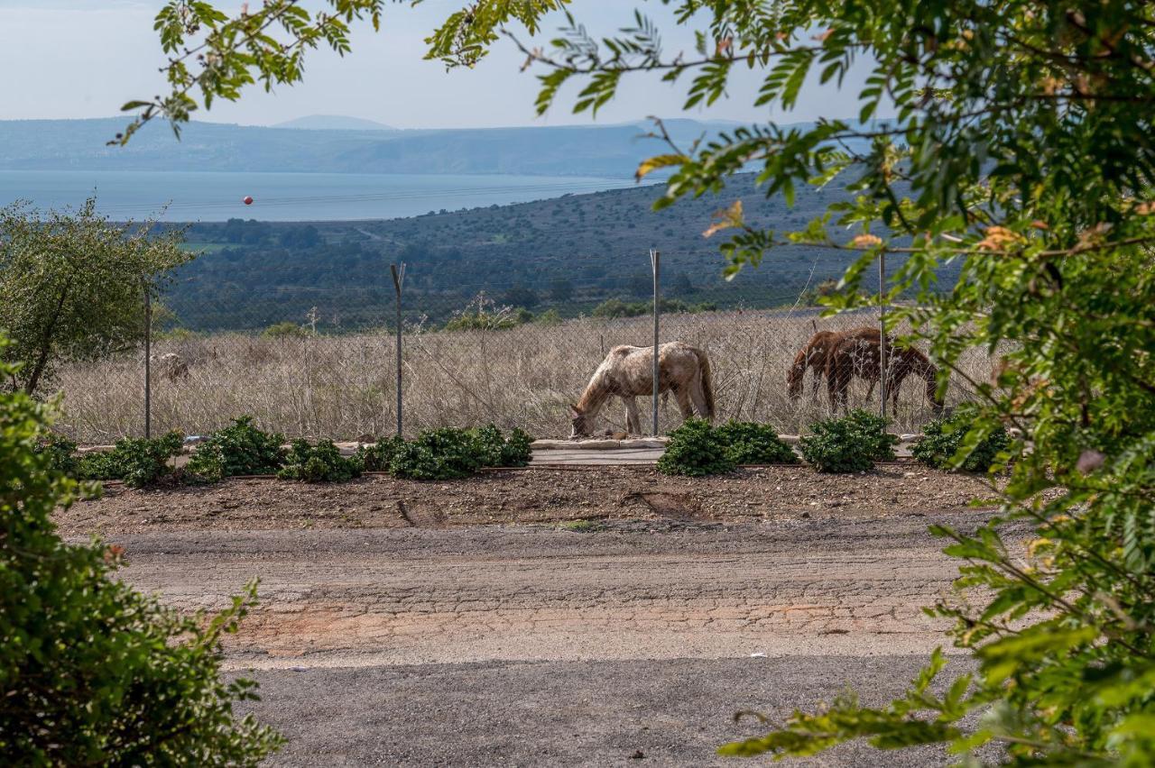 Nof Kinneret Cabins Had Nes Εξωτερικό φωτογραφία