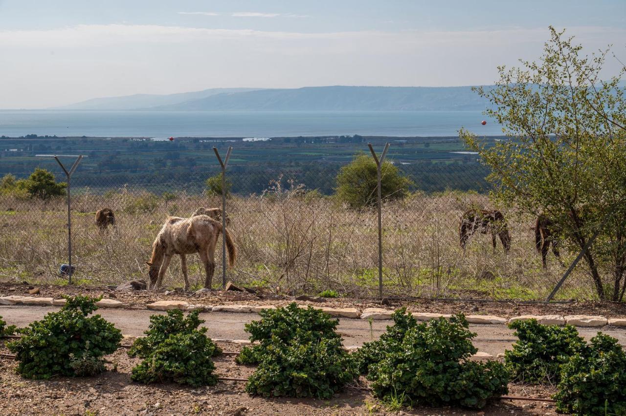 Nof Kinneret Cabins Had Nes Εξωτερικό φωτογραφία