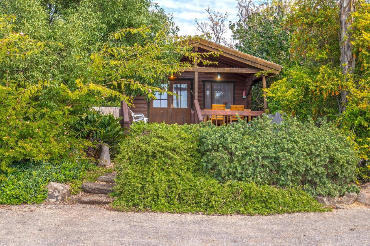 Nof Kinneret Cabins Had Nes Εξωτερικό φωτογραφία